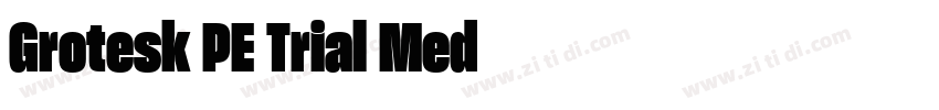 Grotesk PE Trial Med字体转换